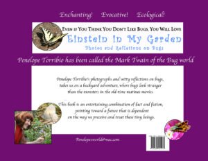Cover for Einstein in My Garden, photos and reflections on bugs.